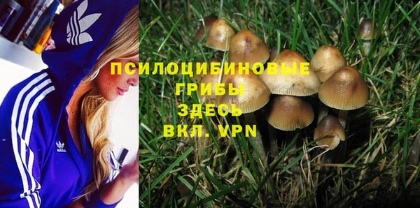 таблы Аркадак