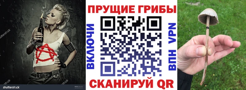 Купить где  Среднеуральск  Псилоцибиновые грибы Psilocybine cubensis 